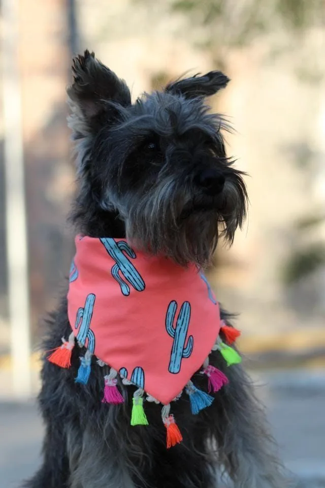 Bandana MexicanStyle